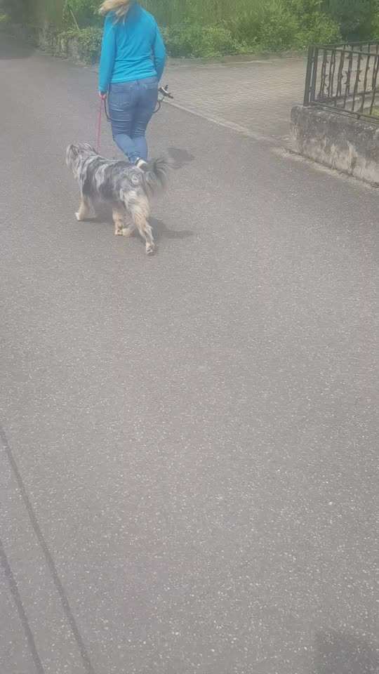 Impulskontrolle Challenge Nr. 10 "Zurücklassen"-Beitrag-Bild