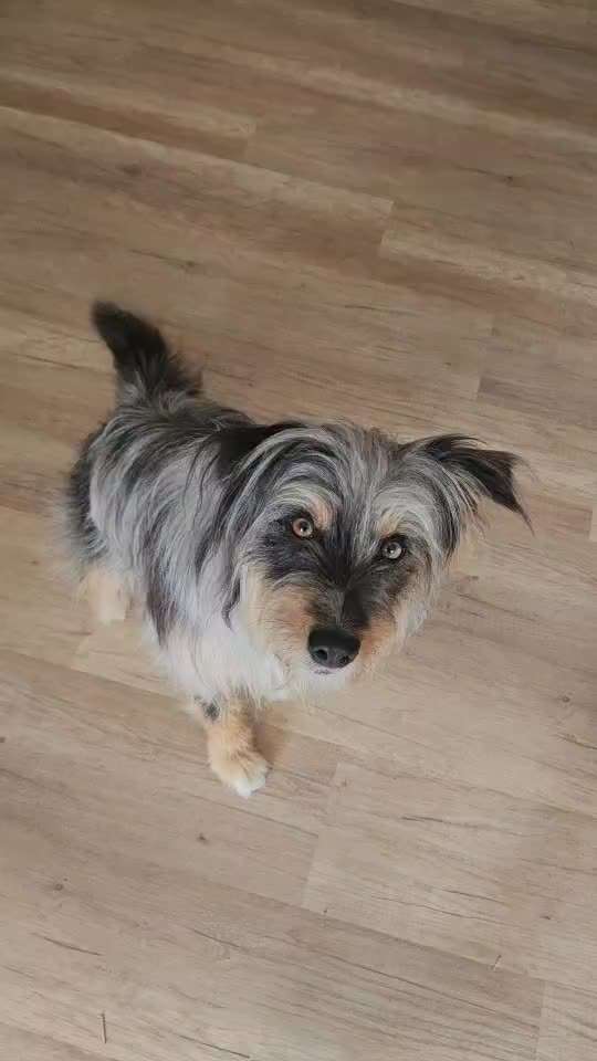 35. Trick Challenge - Schmeckts/ Zunge raus-Beitrag-Bild