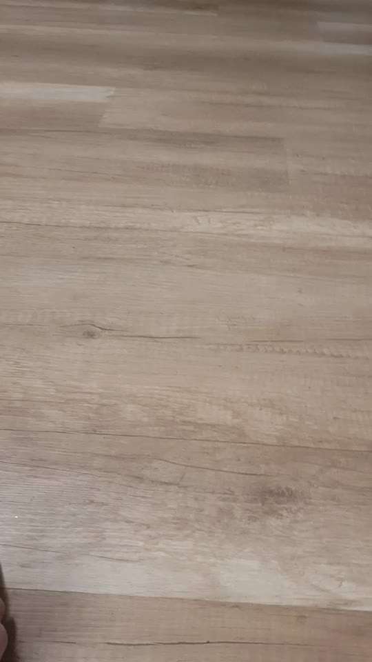 Impulskontrolle-Challenge Nr. 2: Vorbei laufen-Beitrag-Bild