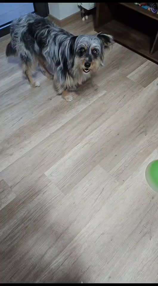 Trick- Challenge Nr. 31 ,Schieben‘-Beitrag-Bild