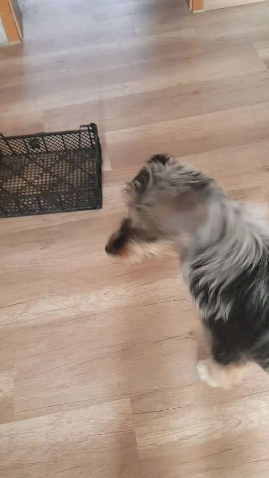 Trick Challenge ABC-Beitrag-Bild