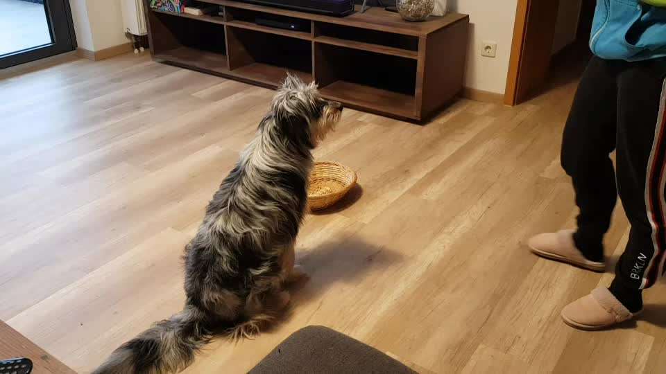 Trick-Challenge Nr.26 Quetschen-Beitrag-Bild