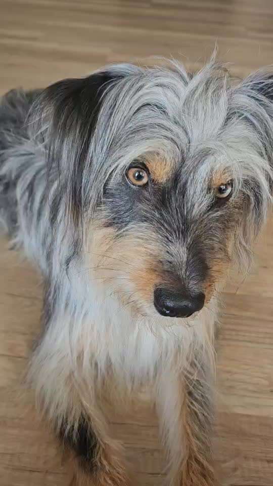 35. Trick Challenge - Schmeckts/ Zunge raus-Beitrag-Bild