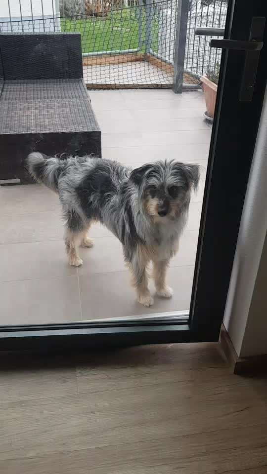 Trick Challenge ABC-Beitrag-Bild