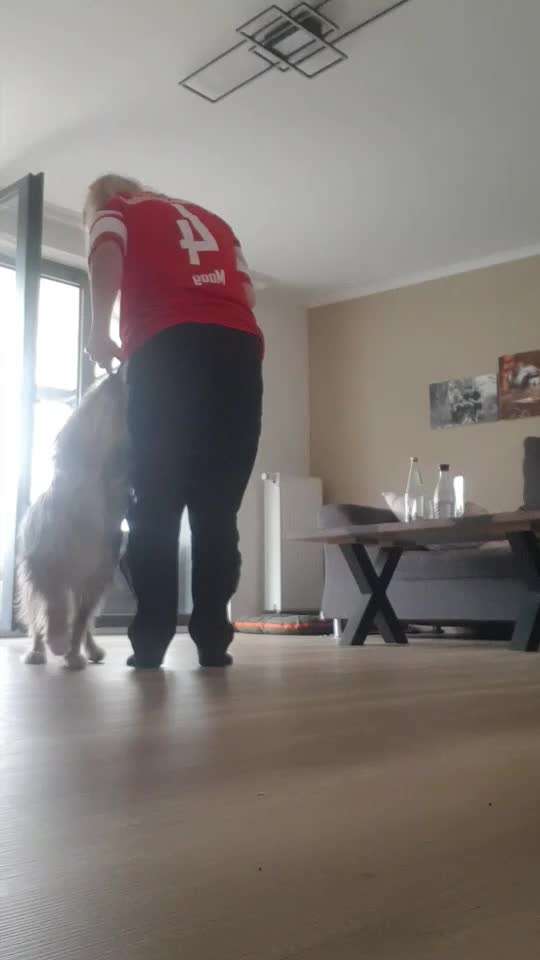 Trick Challenge Nr. 29 ,,TWIST"-Beitrag-Bild