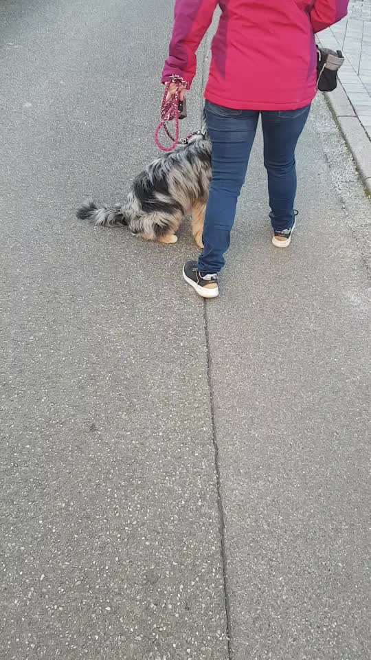 Trick Challenge ABC-Beitrag-Bild