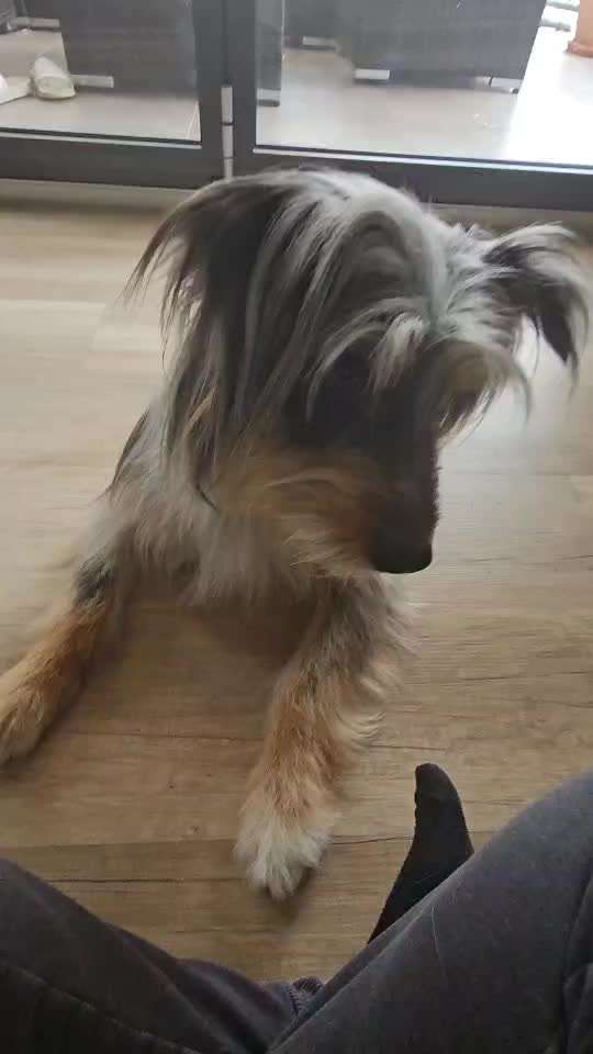 35. Trick Challenge - Schmeckts/ Zunge raus-Beitrag-Bild