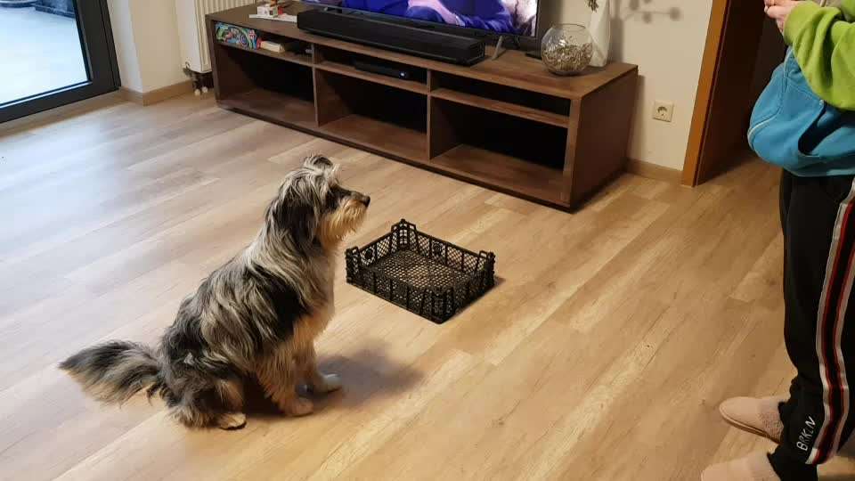 Trick-Challenge Nr.26 Quetschen-Beitrag-Bild