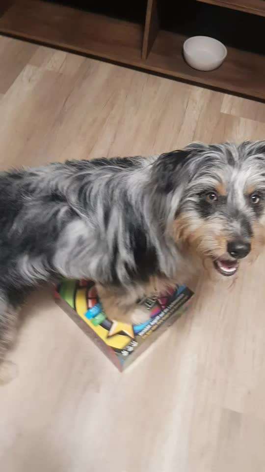 Trick Challenge ABC-Beitrag-Bild