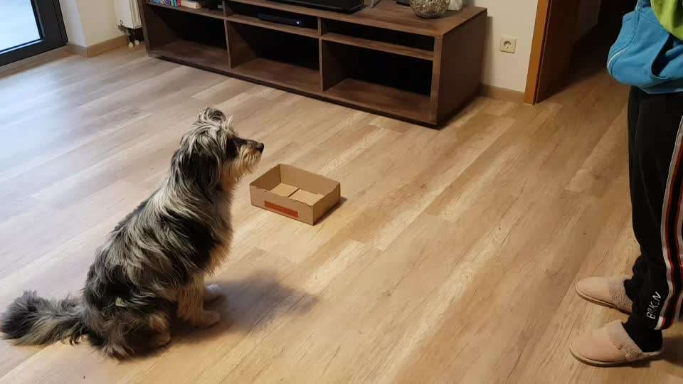 Trick-Challenge Nr.26 Quetschen-Beitrag-Bild