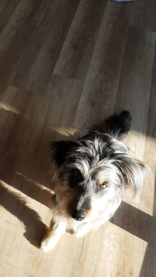 Trick Challenge ABC-Beitrag-Bild