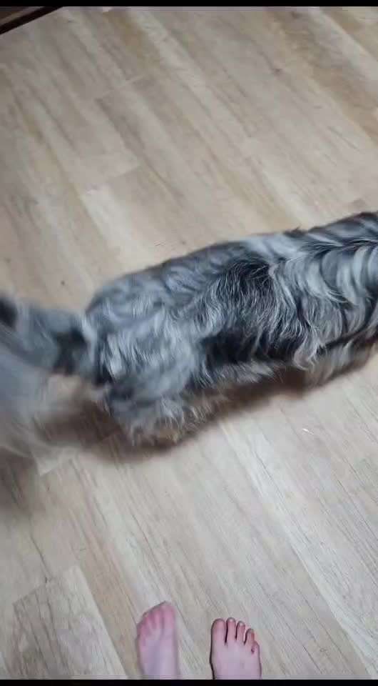 Trick- Challenge Nr. 31 ,Schieben‘-Beitrag-Bild