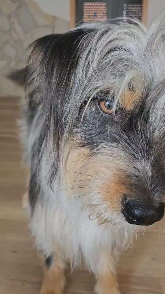 35. Trick Challenge - Schmeckts/ Zunge raus-Beitrag-Bild