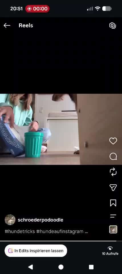 aktuelles Foto Gruppe Trickkiste