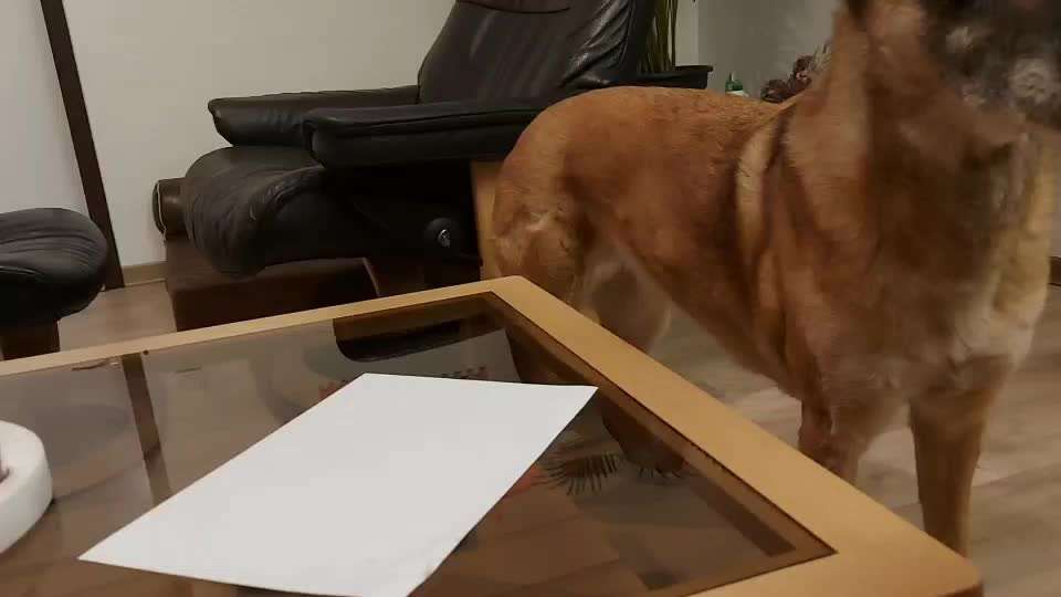 Eure liebsten Tricks-Beitrag-Bild