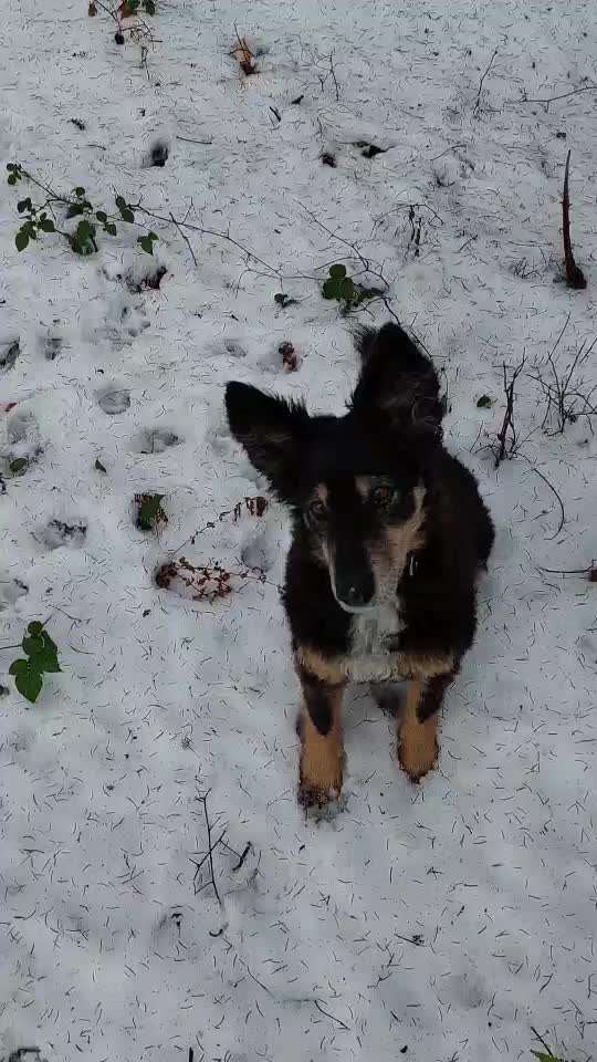 Trick Challange Nr 3-Beitrag-Bild