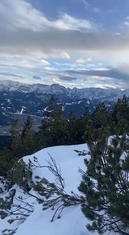 aktuelles Foto Gruppe gemeinsam Wandern mit Hund - Werdenfelser Land (Mittenwald, Garmisch-Partenkirchen, Ehrwald)