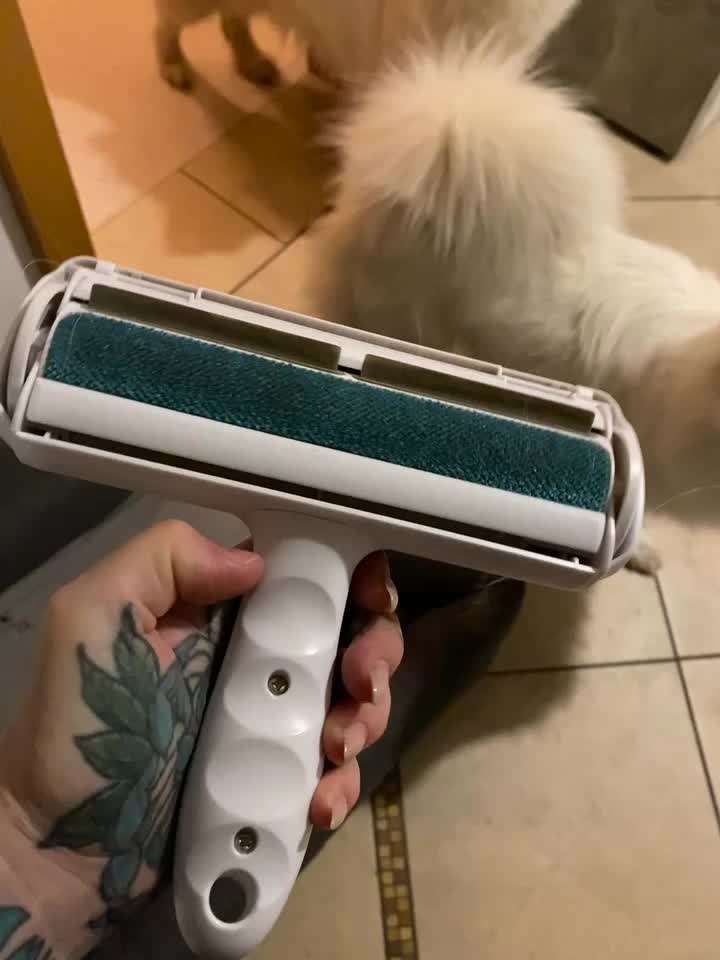 Samojede-Beitrag-Bild