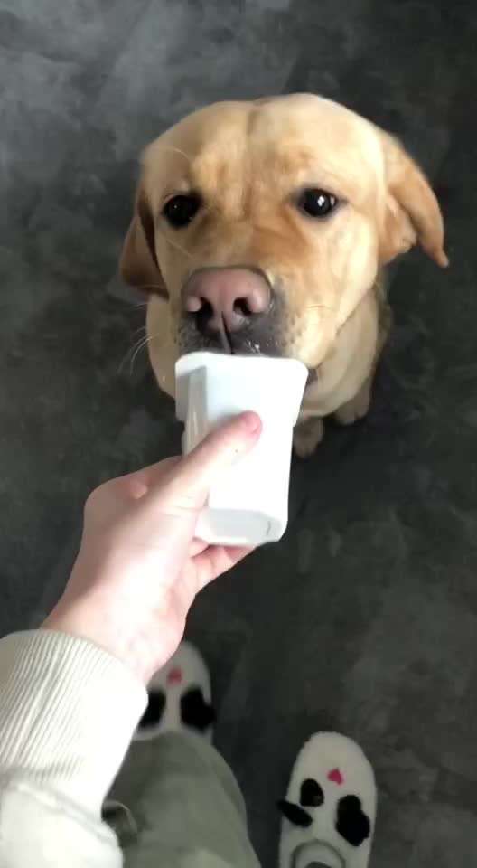 Handy Video Challenge Nr.36 Indoorbespaßung-Beitrag-Bild