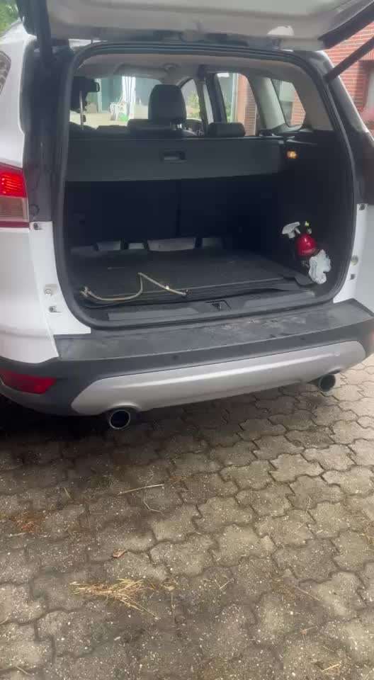 55. Impulskontrollchallenge
Kontrolliertes Aussteigen aus dem Auto-Beitrag-Bild