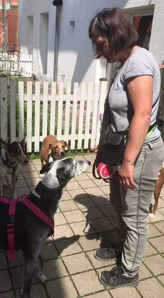 FUN AUFGABEN TOUR-Beitrag-Bild