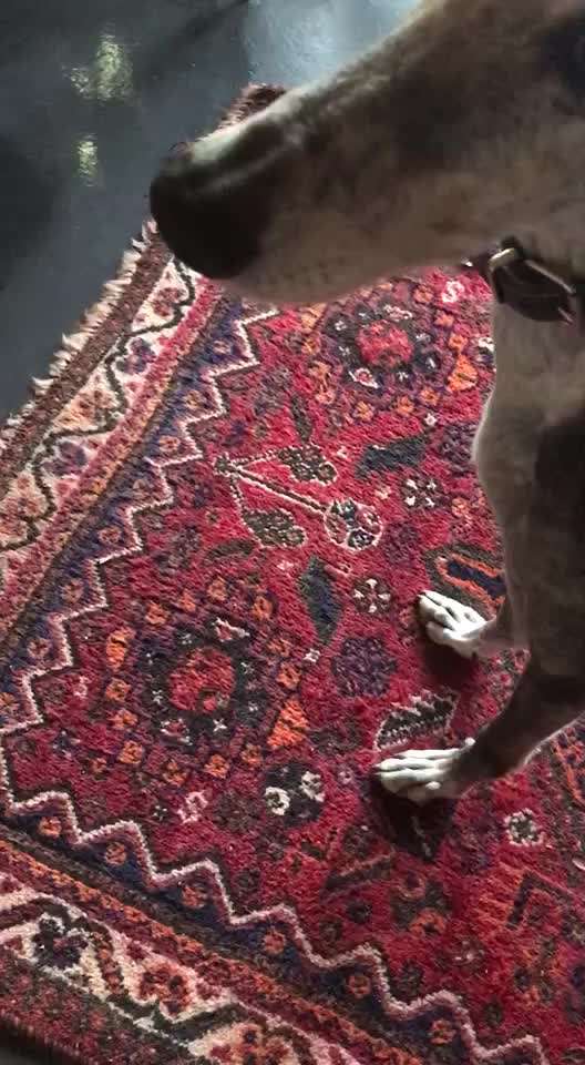 "MACH ES !"  statt  "LASS ES !"-Beitrag-Bild