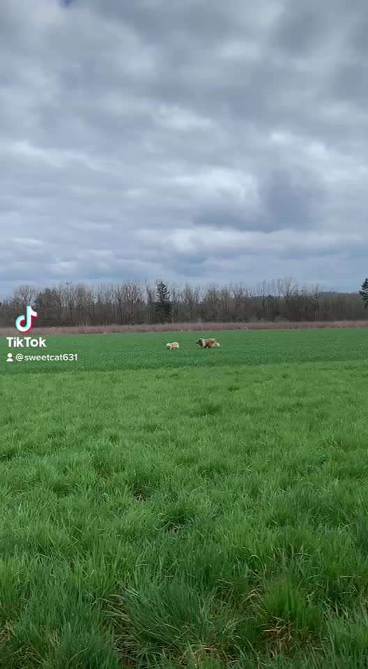 Handyvideochallenge Nr. 26 Gross und Klein-Beitrag-Bild