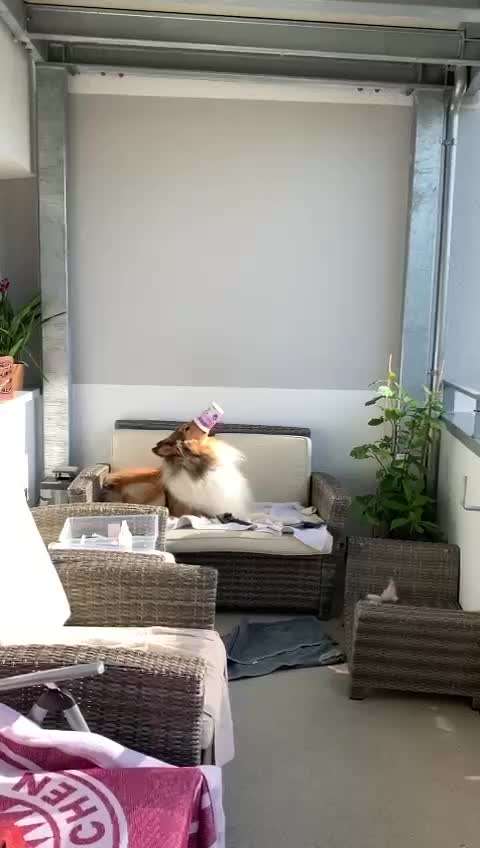 Video Challenge Nr. 4 - Lecker, Lecker-Beitrag-Bild