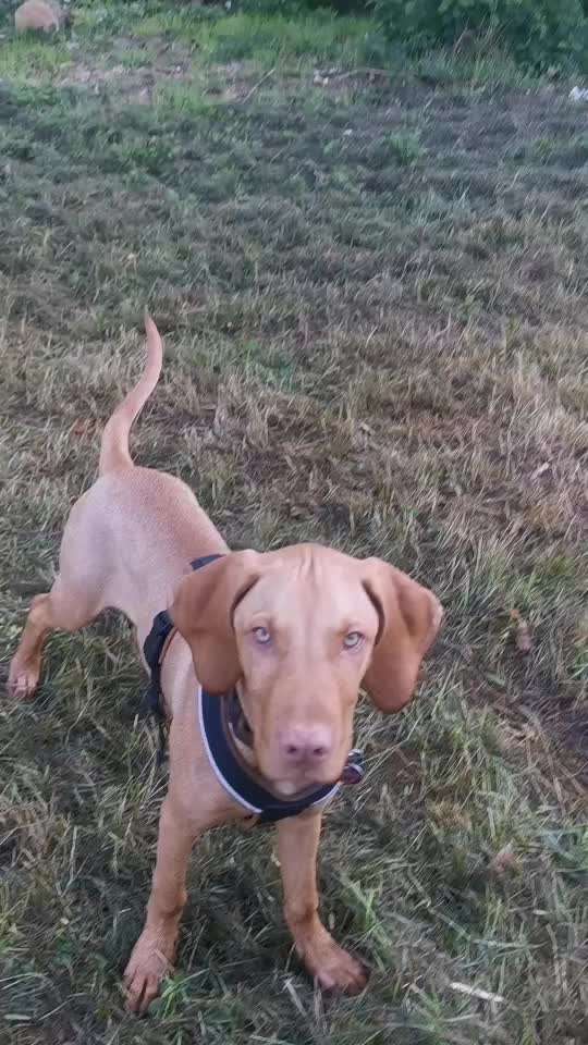 46. Video Challenge - Trainingserfolg-Beitrag-Bild