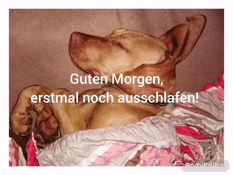 Kurzgeschichten-Challenge Nr. 18-Beitrag-Bild