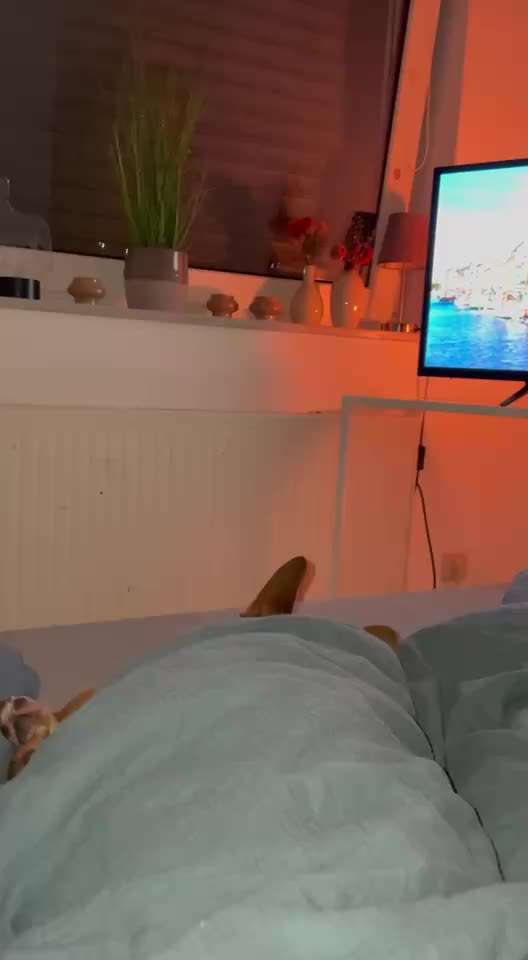 Wie habt ihr den Silvesterabend verbracht?-Beitrag-Bild