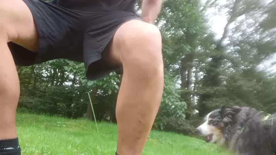 37. Trick-Challenge: Pinguin-Lauf-Beitrag-Bild