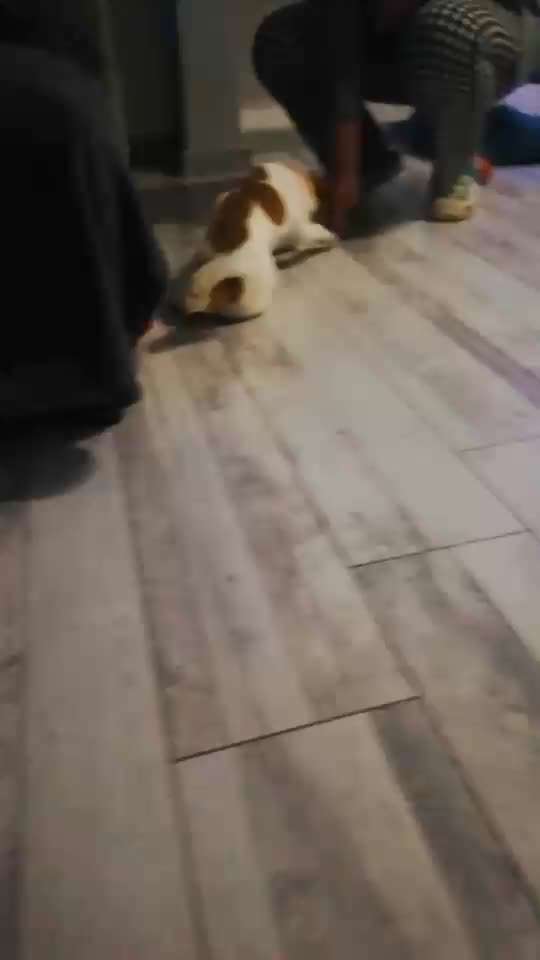 𝕋ℝ𝕀ℂ𝕂 ℂℍ𝔸𝕃𝕃𝔼ℕ𝔾𝔼 ℕℝ. 𝟚-Beitrag-Bild