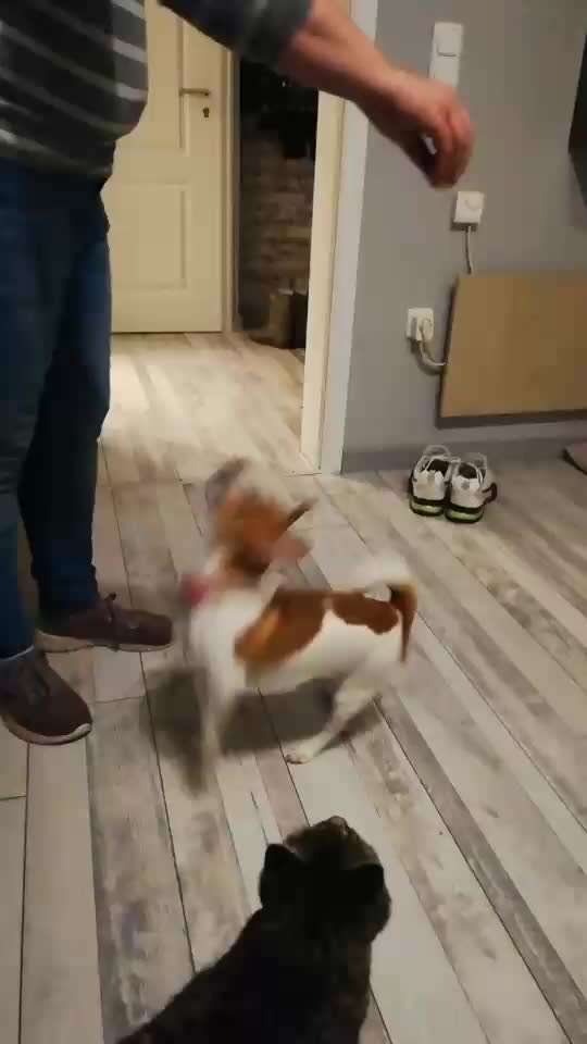 𝕋ℝ𝕀ℂ𝕂 ℂℍ𝔸𝕃𝕃𝔼ℕ𝔾𝔼 ℕℝ. 𝟙-Beitrag-Bild