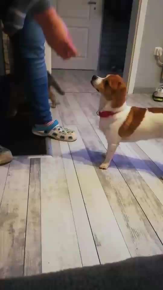 𝕋ℝ𝕀ℂ𝕂 ℂℍ𝔸𝕃𝕃𝔼ℕ𝔾𝔼 ℕℝ. 𝟙-Beitrag-Bild