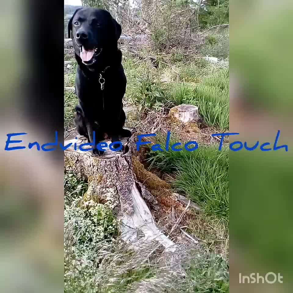 FUN AUFGABEN TOUR-Beitrag-Bild