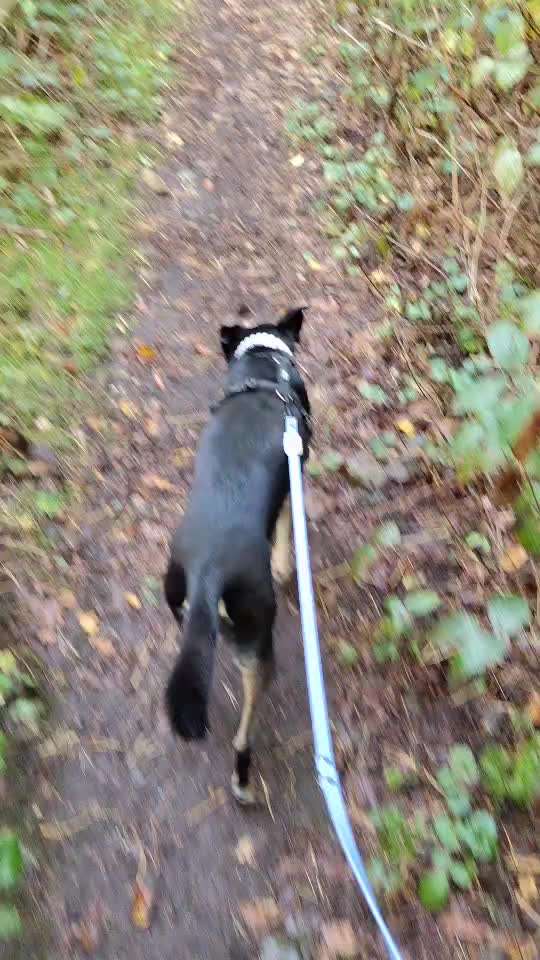 Gangbild/-analyse-Beitrag-Bild