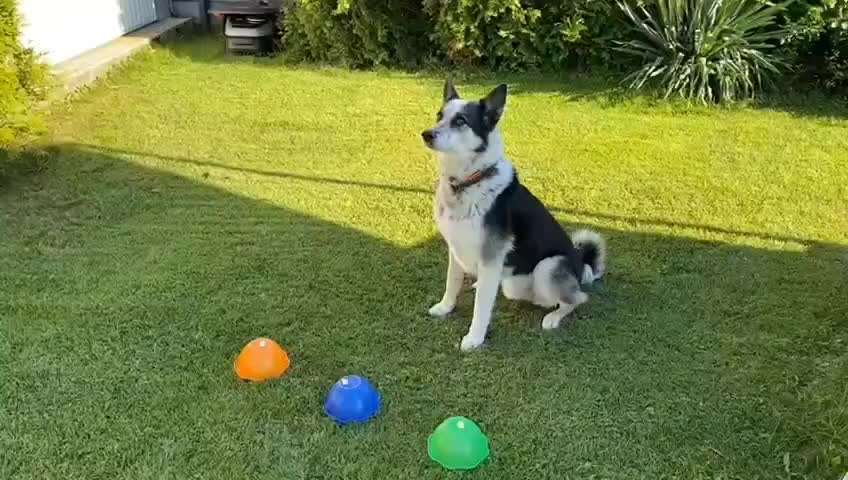 59. Impulskontrollchallenge " Qual der Wahl"-Beitrag-Bild