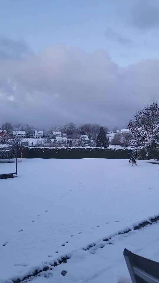 Nur die harten kommen in den Garten-Beitrag-Bild