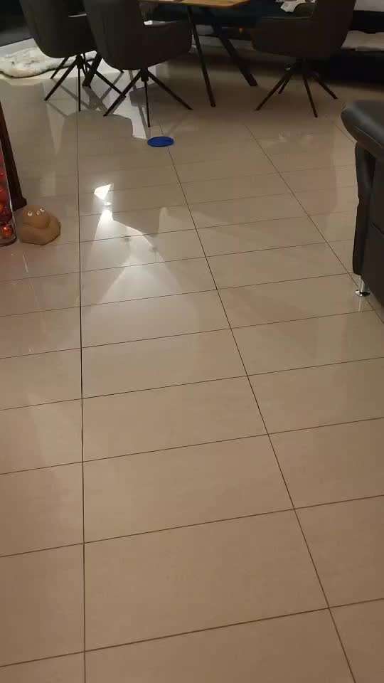 Nr.65 Impulskontrolltraining: Direkt drauf zu-Beitrag-Bild