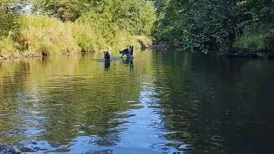 Abkühlung im Sommer-Beitrag-Bild
