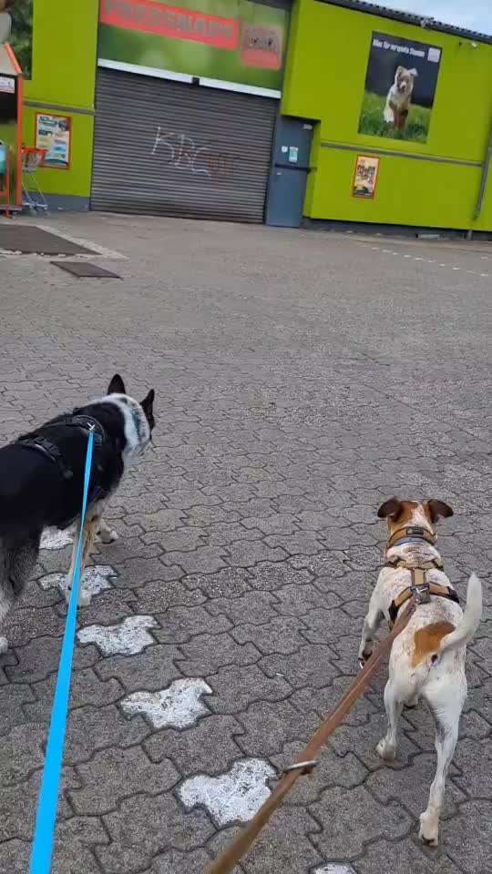 Kaufst Du mir was?-Beitrag-Bild