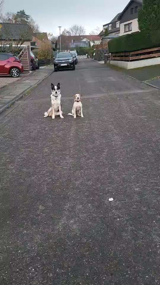 Gemeinsame Impulskontrolleübung Nr. 23 Ich bin noch nicht dran.-Beitrag-Bild