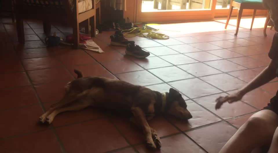 Trick Challenge Nr. 15-Beitrag-Bild