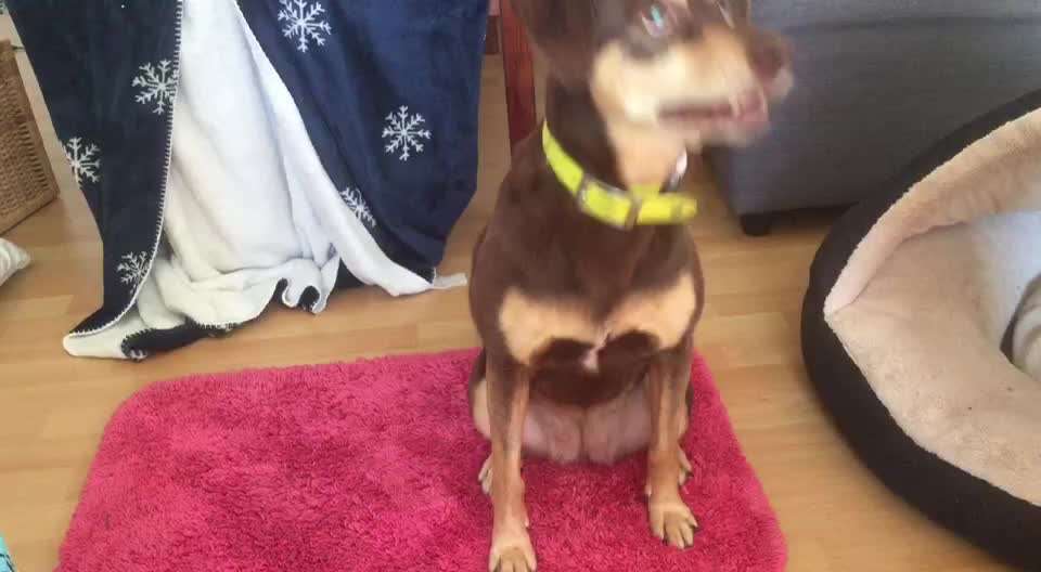 Trick Challenge Nr. 15-Beitrag-Bild