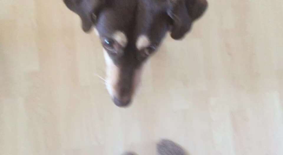 Trick Challange Nr 3-Beitrag-Bild