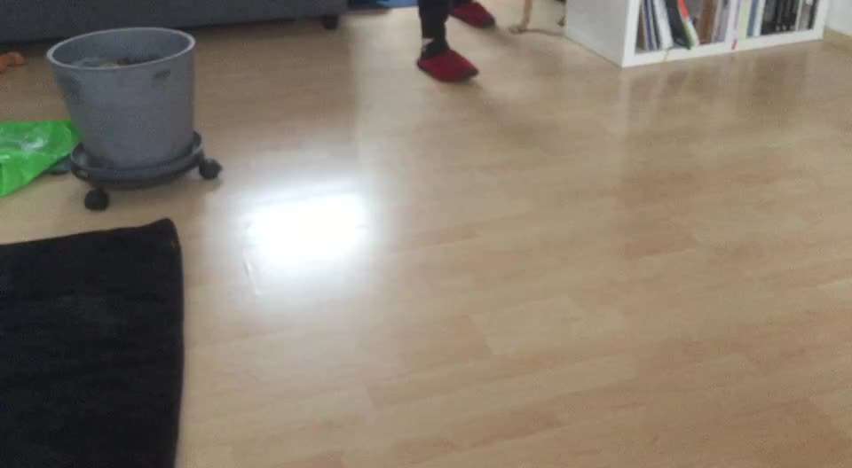 Trick Challenge Nr 6-Beitrag-Bild