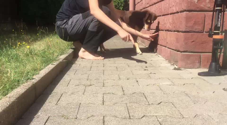 Trick Callenge Nr. 17-Beitrag-Bild