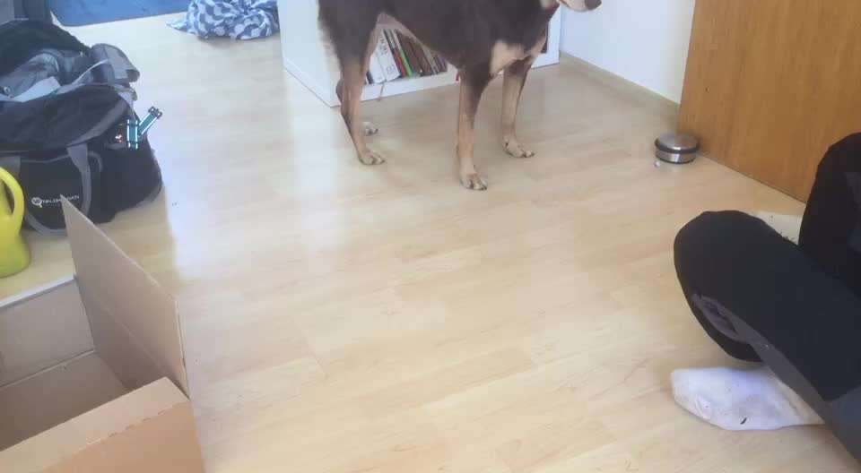 Trick Challenge 13 - Etwas Halten-Beitrag-Bild