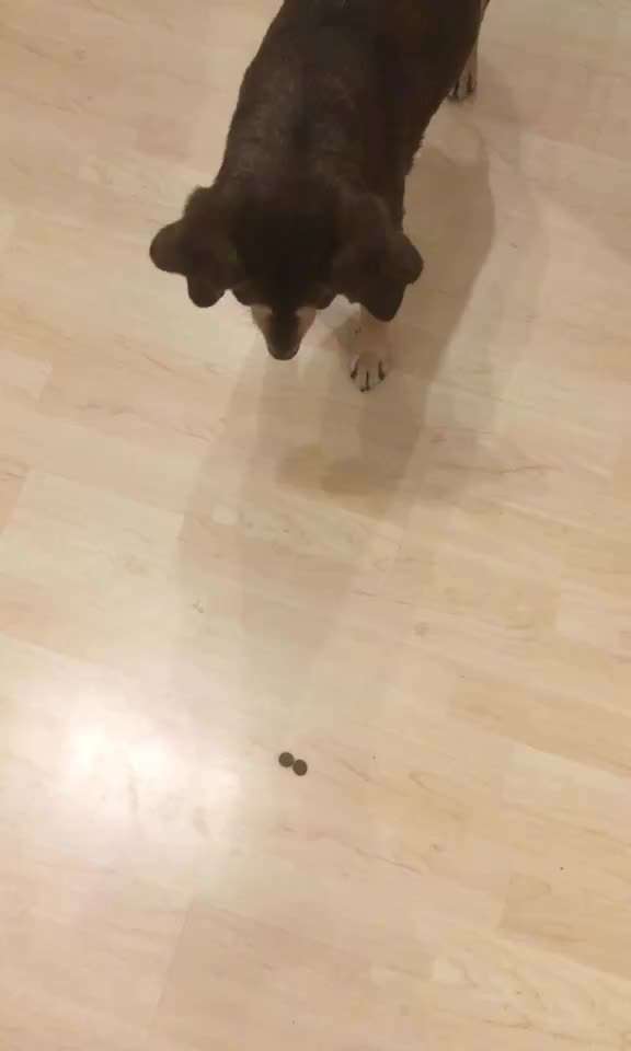 Grenzen setzen - Raumverwaltung-Beitrag-Bild